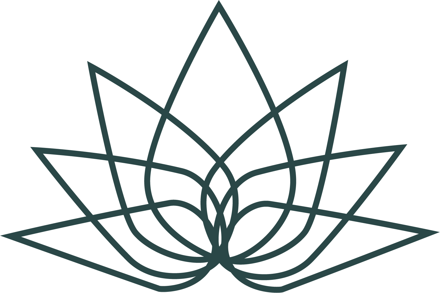 Our Team Has Extensive Clinical And Social Care Experience - Our Team Has Extensive Clinical And Social Care Experience (1534x1022)