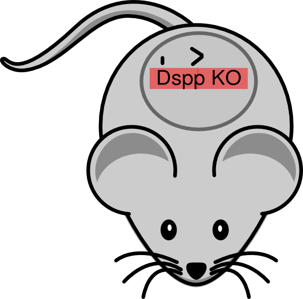 Dspp Knockout Clip Art - Dspp Knockout Clip Art (600x592)