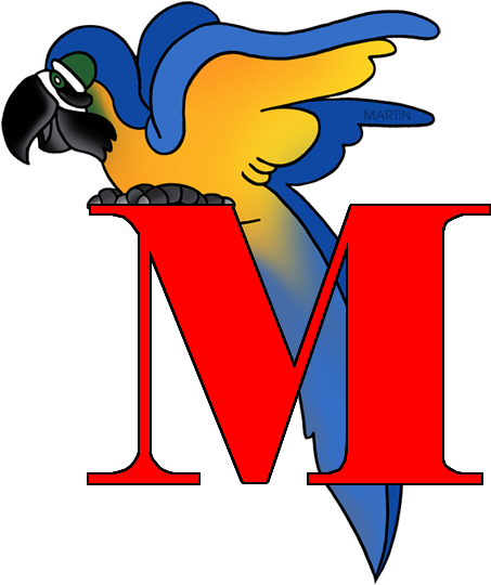 Macaw Clipart Phillip Martin - Macaw Clipart Phillip Martin (476x648)