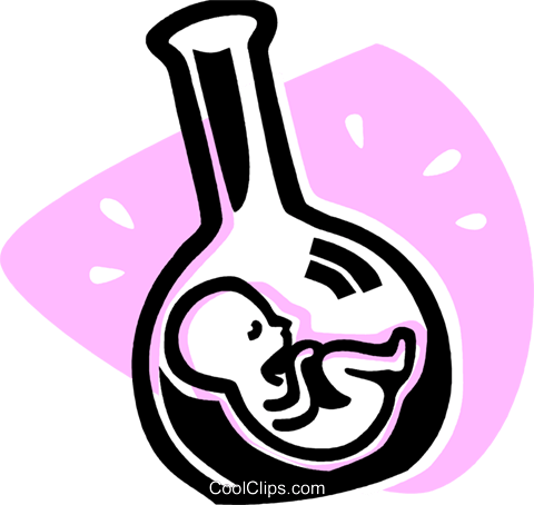 Fetus Royalty Free Vector Clip Art Illustration Vc075912 - Fetus Royalty Free Vector Clip Art Illustration Vc075912 (480x454)