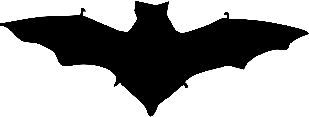 Bat Dracula Silhouette - Bat Dracula Silhouette (1280x640)