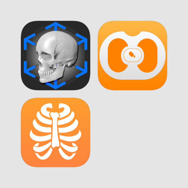 Radiology Anatomy Plus 17 - Radiology Anatomy Plus 17 (630x630)