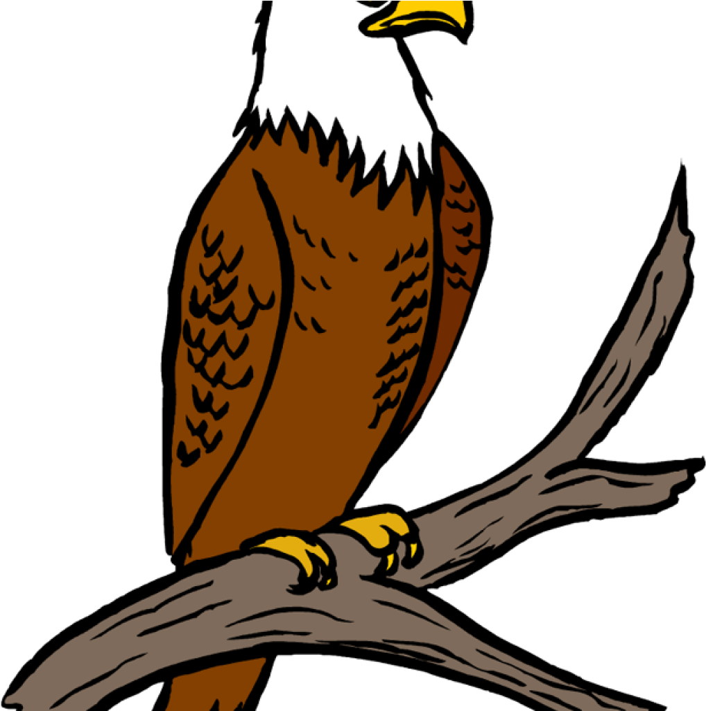 Free Eagle Clipart Eagle Feather Clipart At Getdrawings - Free Eagle Clipart Eagle Feather Clipart At Getdrawings (1024x1024)
