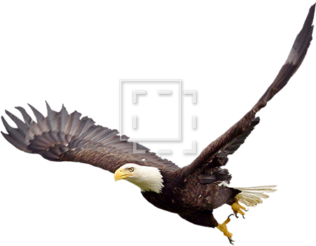 Clipart Info Source - Clipart Info Source (450x450)