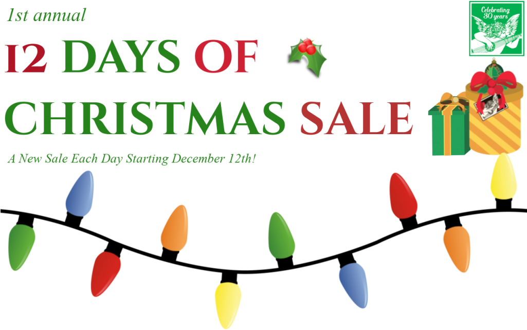 Professional Lessons Store Repair - Professional Lessons Store Repair (1024x656)