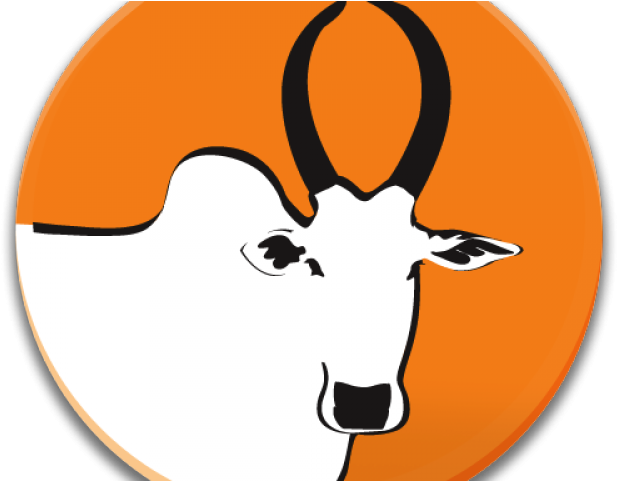 Bulls Clipart Kaalai - Bulls Clipart Kaalai (640x480)