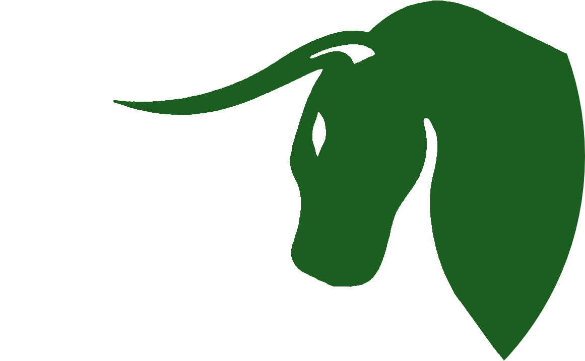 Bull Clipart Usf - Bull Clipart Usf (1228x724)