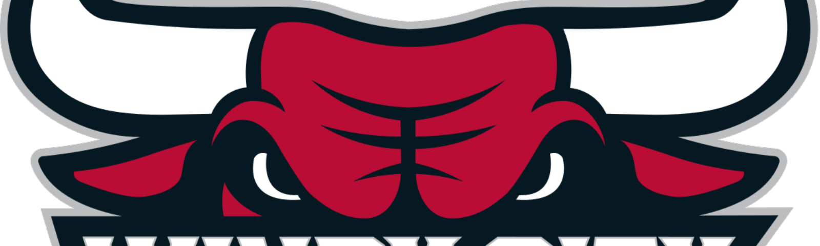 Are The Windy City Bulls For Real - Are The Windy City Bulls For Real (1600x480)