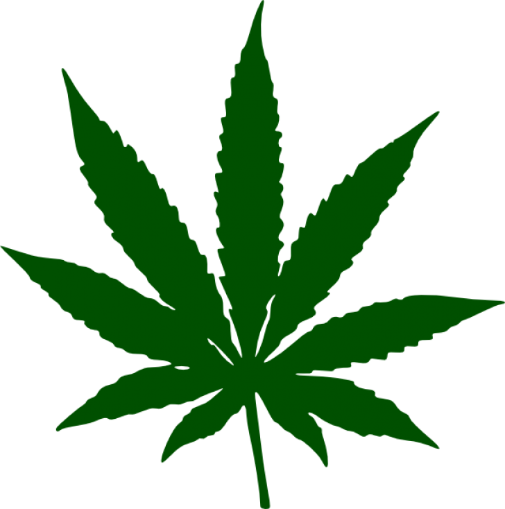 Permalink To Weed Clip Art - Permalink To Weed Clip Art (728x734)