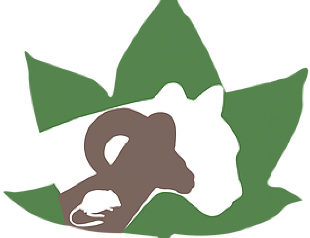 Environmental Clipart Environmental Education - Environmental Clipart Environmental Education (640x480)