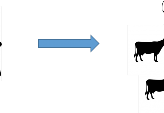 Herd Clipart Two Cow - Herd Clipart Two Cow (640x480)