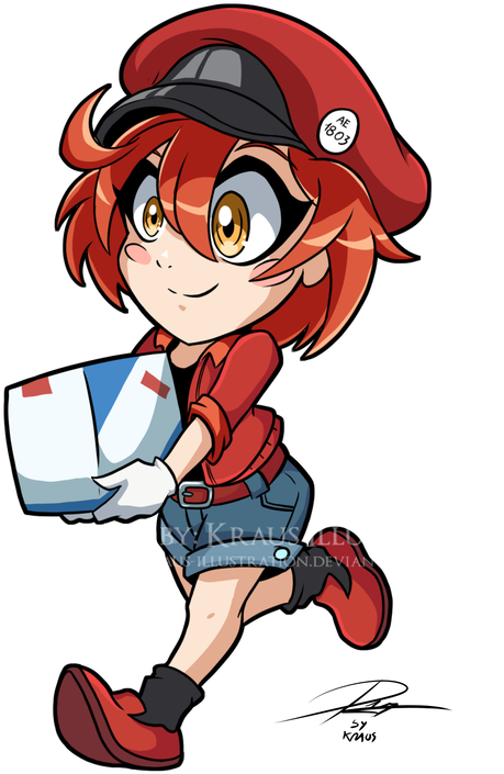 Red Blood Cell By Kraus-illustration - Red Blood Cell By Kraus-illustration (600x849)