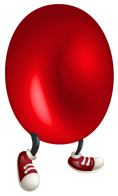 Red Blood Cell 1 - Red Blood Cell 1 (375x624)