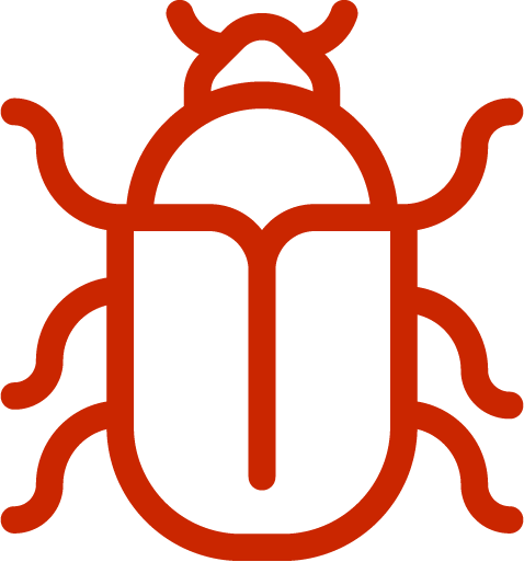 Quick Facts About Mountain Pine Beetle - Quick Facts About Mountain Pine Beetle (478x513)