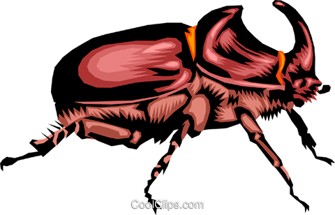 Beetle Royalty Free Vector Clip Art Illustration - Beetle Royalty Free Vector Clip Art Illustration (480x308)