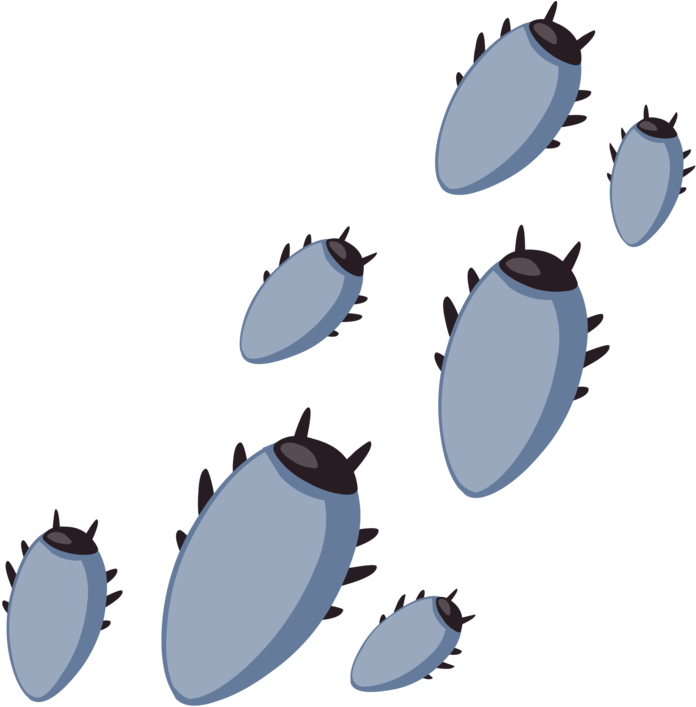 Beetle Software Bug Tick Computer Software Bed Bug - Beetle Software Bug Tick Computer Software Bed Bug (702x750)