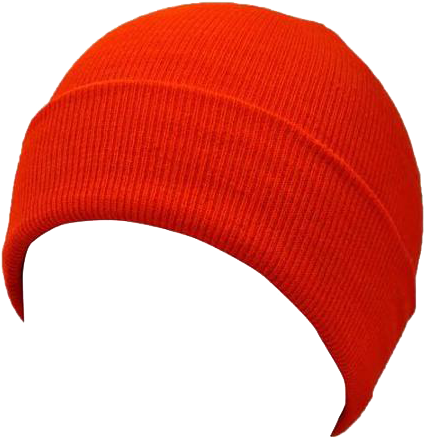 Beanie Png Transparent Beaniepng Images Pluspng - Beanie Png Transparent Beaniepng Images Pluspng (450x450)