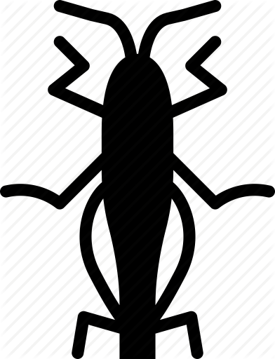 Grasshopper Clipart Beetle - Grasshopper Clipart Beetle (392x512)