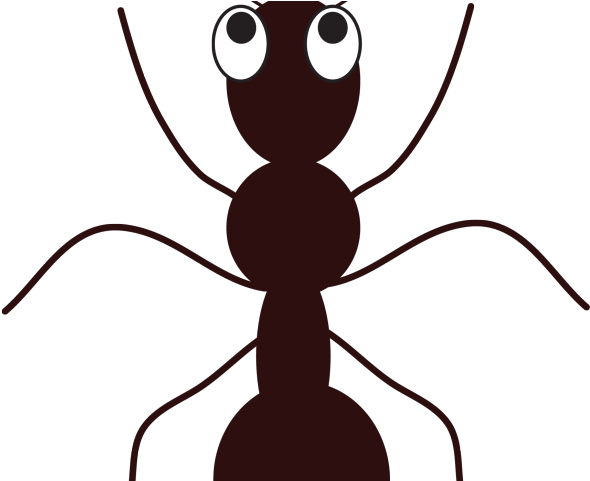 Ant Clipart Picnic Item - Ant Clipart Picnic Item (640x480)