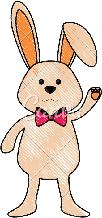 Easter Bunny Cartoon - Easter Bunny Cartoon (800x800)