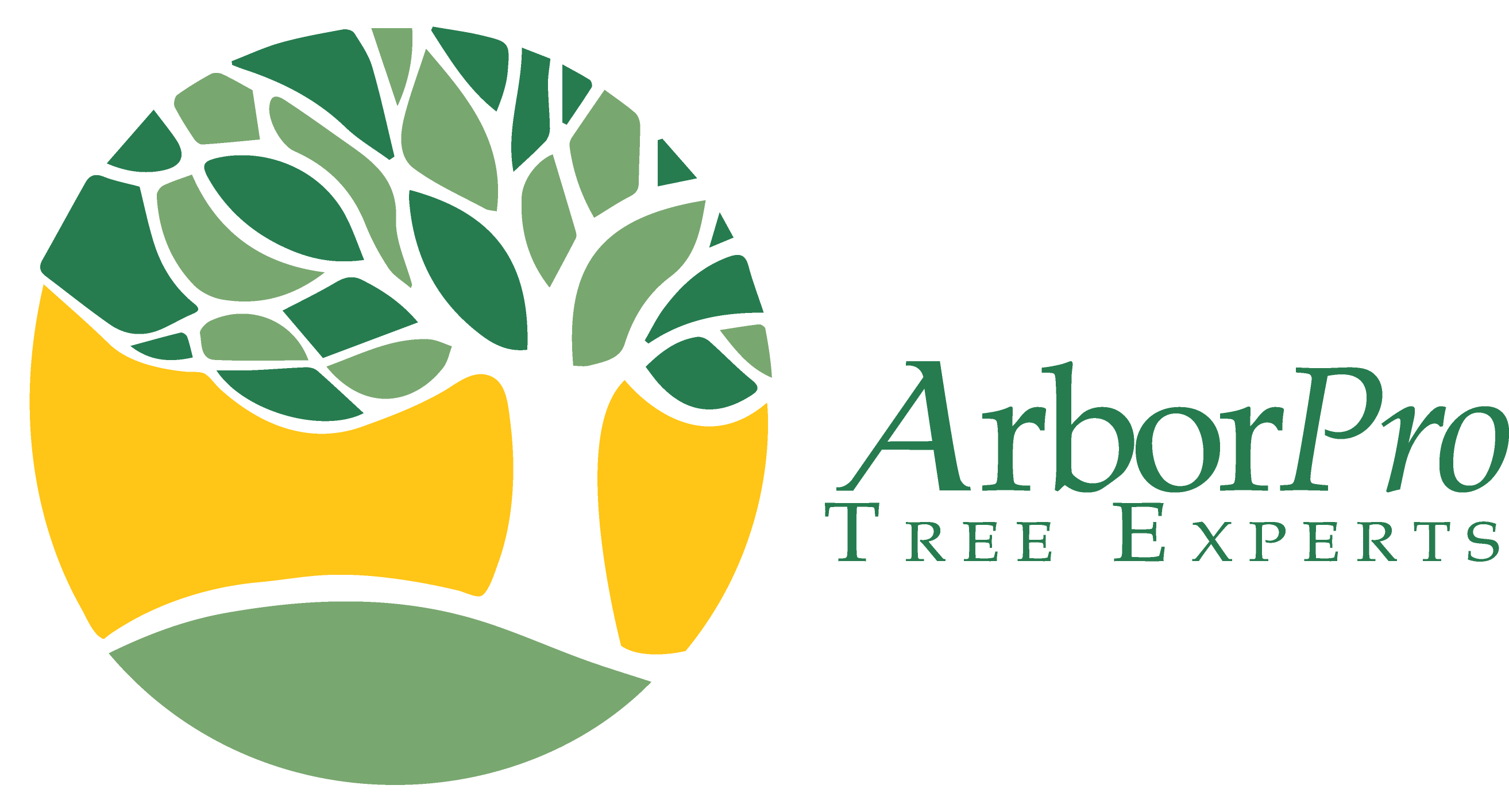 The Christmas Tree Shortage Of 2017 Is Long Gone - The Christmas Tree Shortage Of 2017 Is Long Gone (2627x1414)