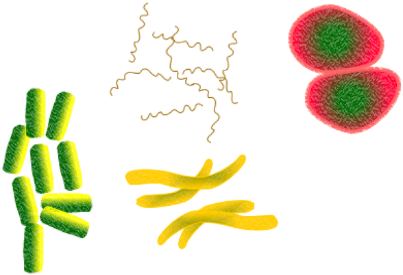 Old Friends And Chronic Inflammation - Old Friends And Chronic Inflammation (640x417)