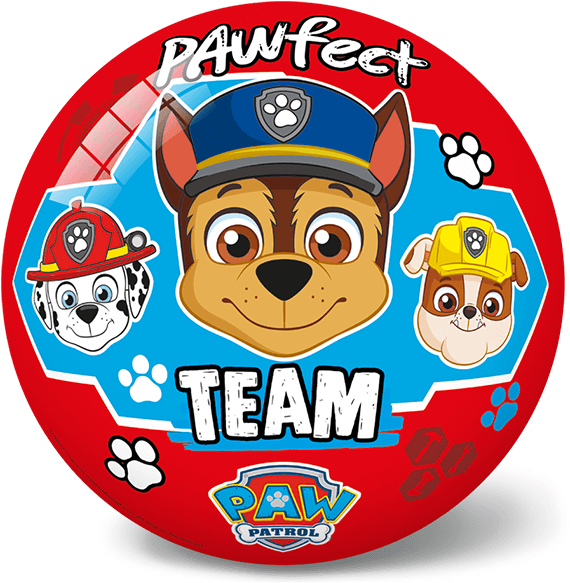 Paw Patrol Boys Ball - Paw Patrol Boys Ball (600x600)