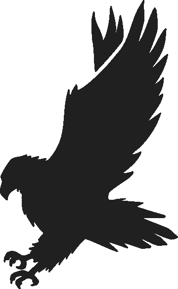 Cute Hawk Clipart Bclipart Free Clipart Images Kbxzca - Cute Hawk Clipart Bclipart Free Clipart Images Kbxzca (360x583)