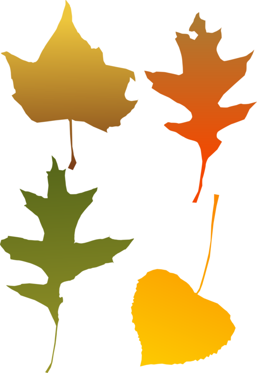 All Photo Png Clipart - All Photo Png Clipart (518x750)