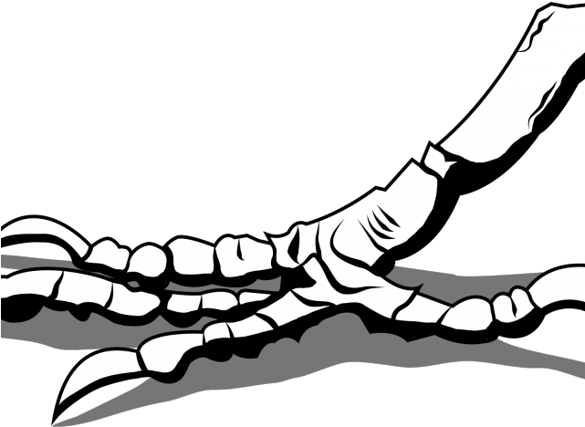 Claws Clipart Leg - Claws Clipart Leg (640x480)