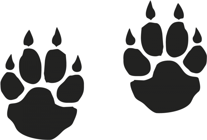 Free Download Tiger Paw Print With Claws Clipart Tiger - Free Download Tiger Paw Print With Claws Clipart Tiger (667x452)