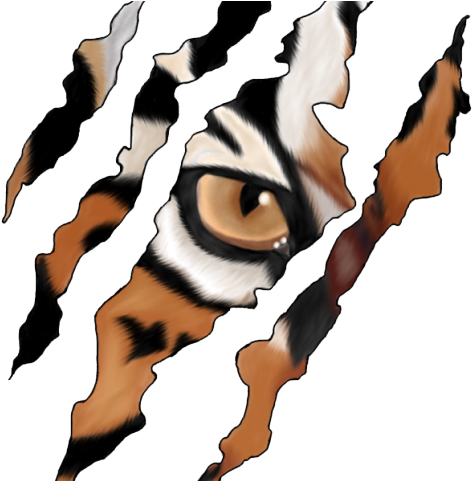 Claws Clipart Cheetah - Claws Clipart Cheetah (640x480)