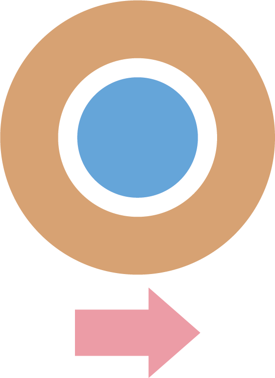 Eye Forward Inc - Eye Forward Inc (565x778)