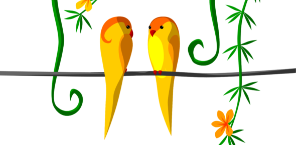 Relationships Can Be Complicated, Especially When Dating - Relationships Can Be Complicated, Especially When Dating (590x290)