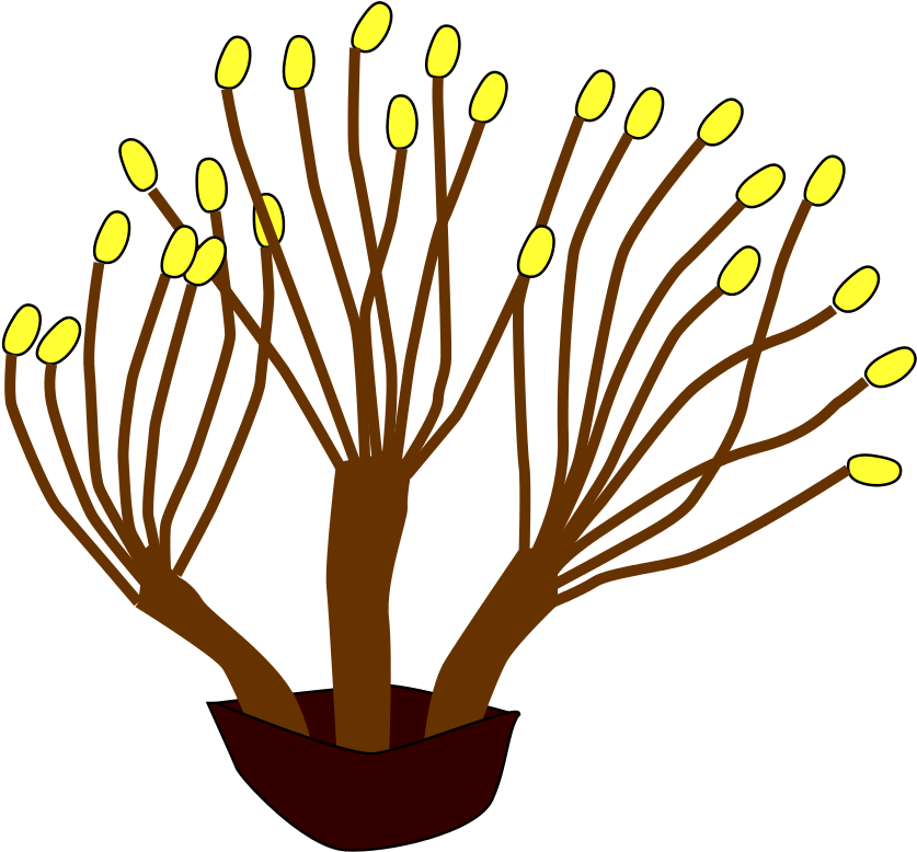 File Morphology Fusion Polyadelphous Transparent Background - File Morphology Fusion Polyadelphous Transparent Background (1054x1024)