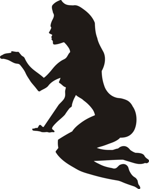 Stroke,the - Stroke,the (500x631)