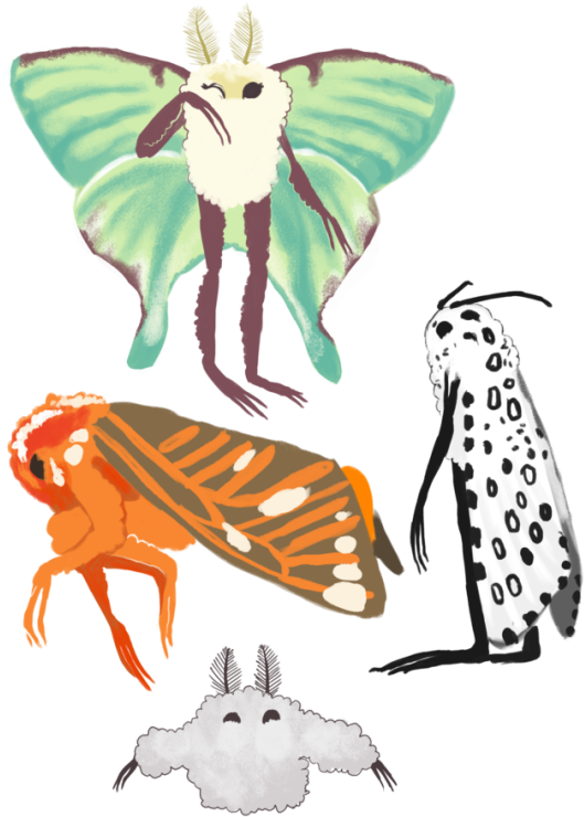 Backpack For His Applesauce - Backpack For His Applesauce (540x786)