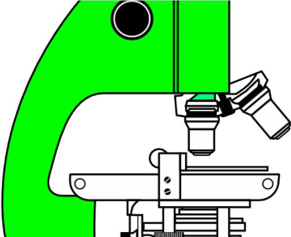 Microscope Clipart Description - Microscope Clipart Description (640x480)