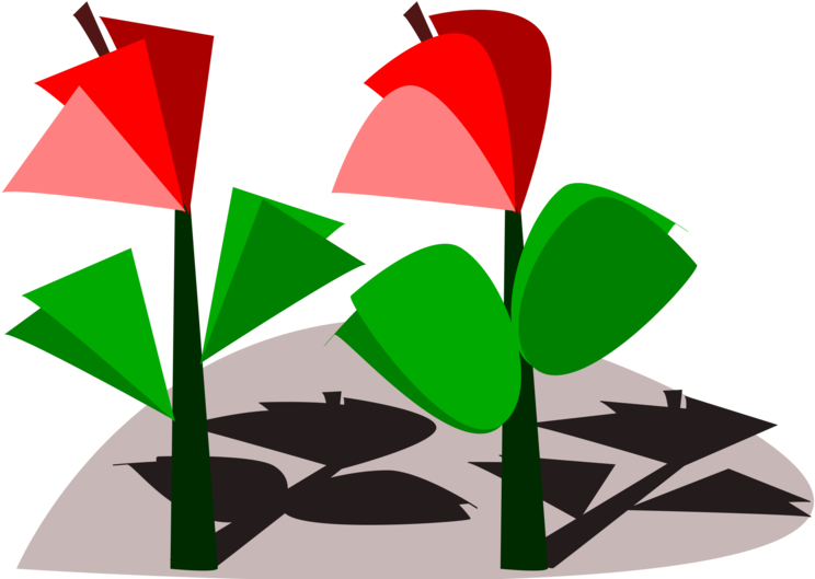 All Photo Png Clipart - All Photo Png Clipart (750x750)