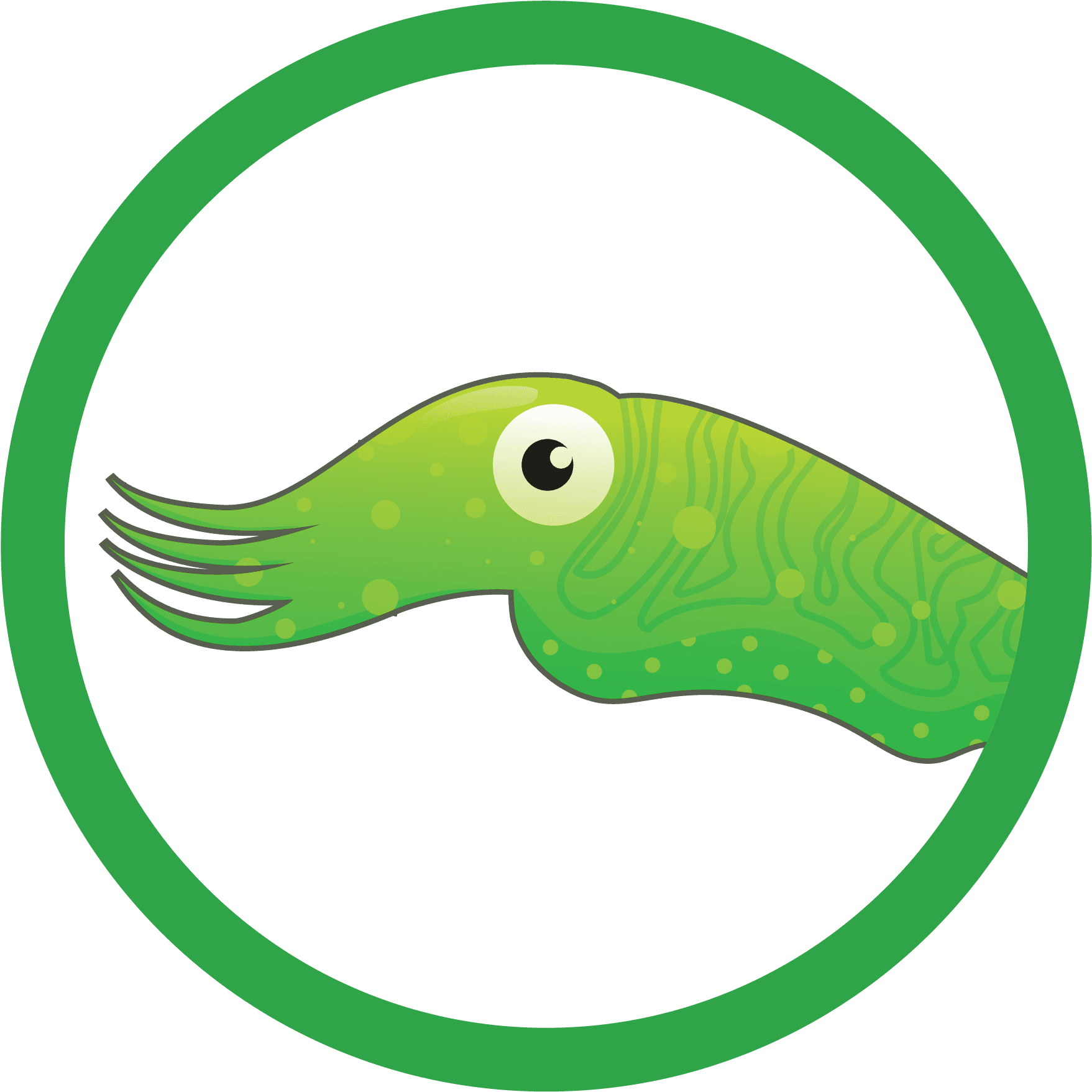 Swim Lesson Description City - Swim Lesson Description City (1801x1801)