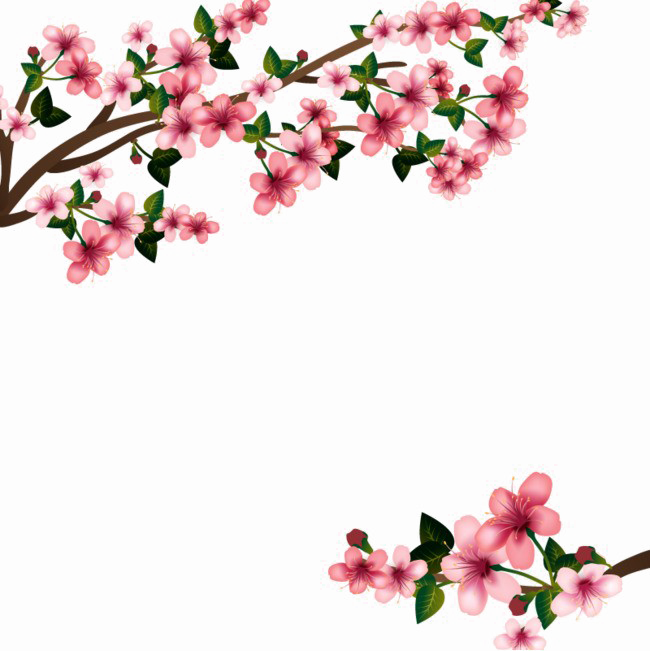 20 Flowers Png For Free On Ya Webdesign - 20 Flowers Png For Free On Ya Webdesign (650x651)