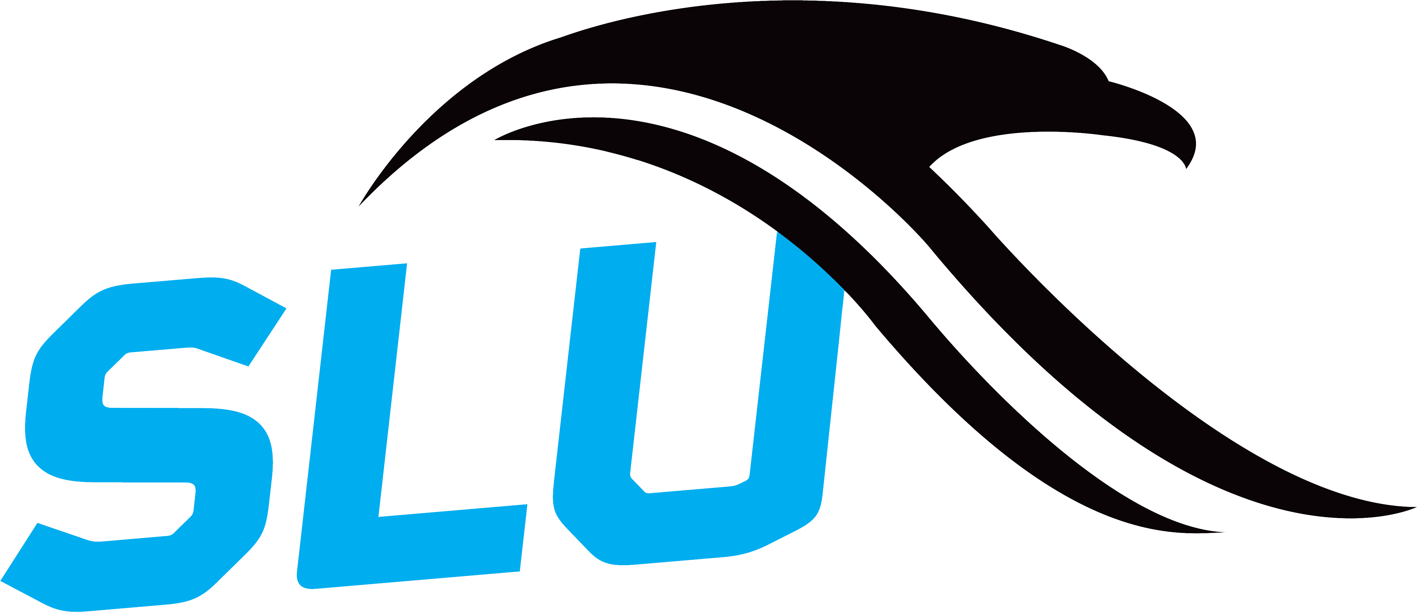 Dare 2 Share Partners - Dare 2 Share Partners (4800x2400)