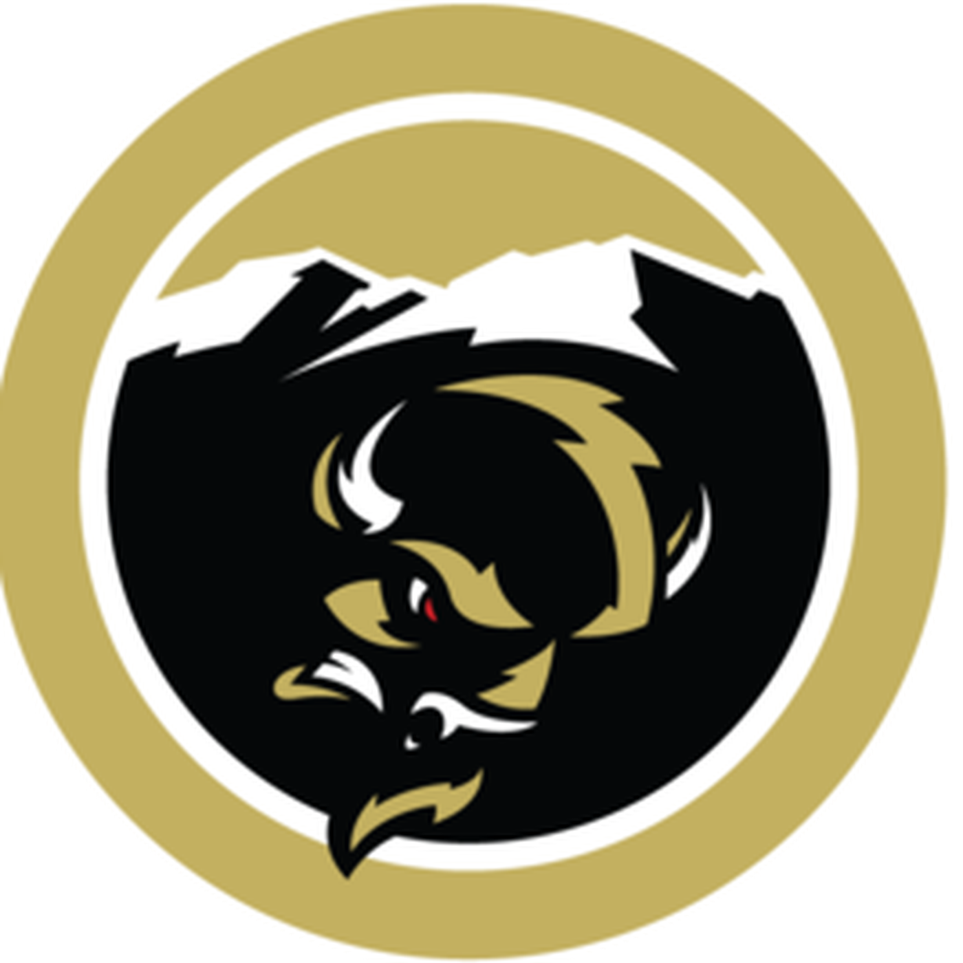 Colorado Buffaloes History Through Pocket Schedules - Colorado Buffaloes History Through Pocket Schedules (1400x1400)