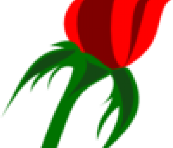 Bud Clipart Red Rose - Bud Clipart Red Rose (640x480)