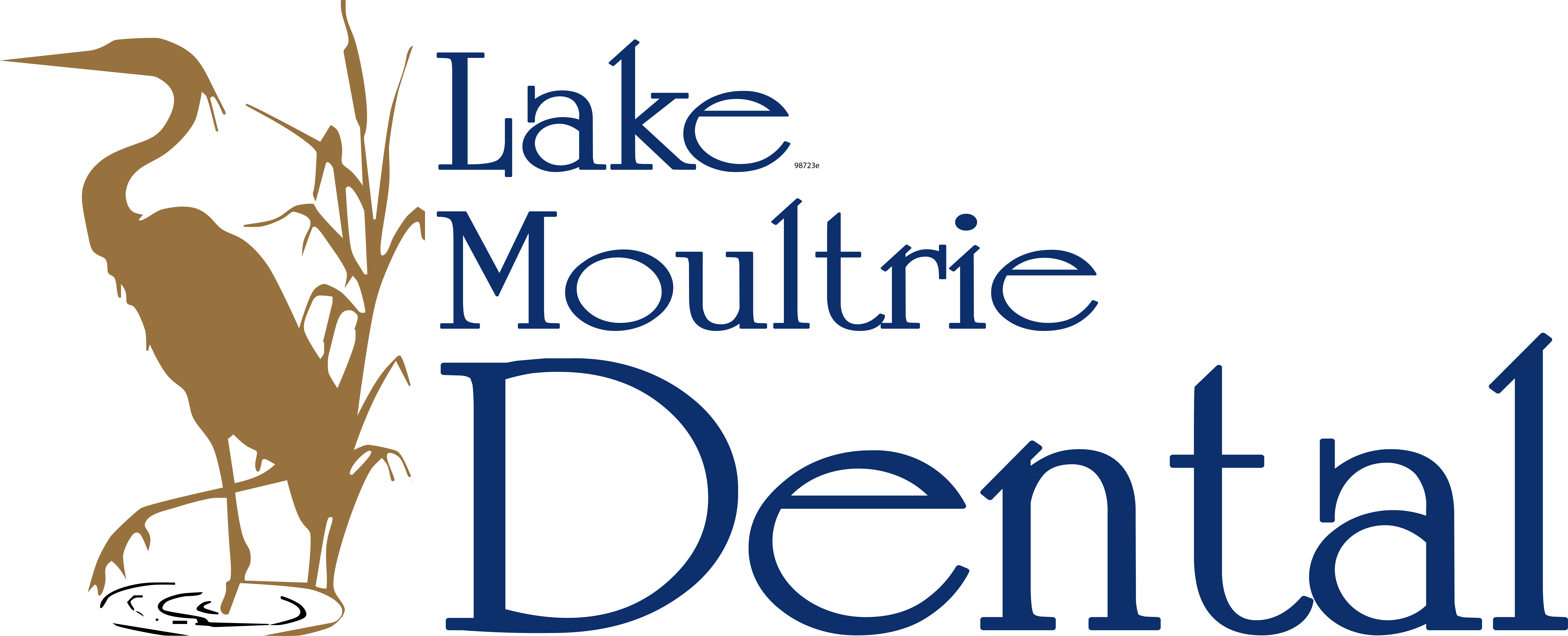 Dental Practice In Goose Creek, Sc - Dental Practice In Goose Creek, Sc (9519x3863)