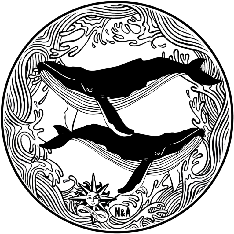 Whales In Love - Whales In Love (805x801)
