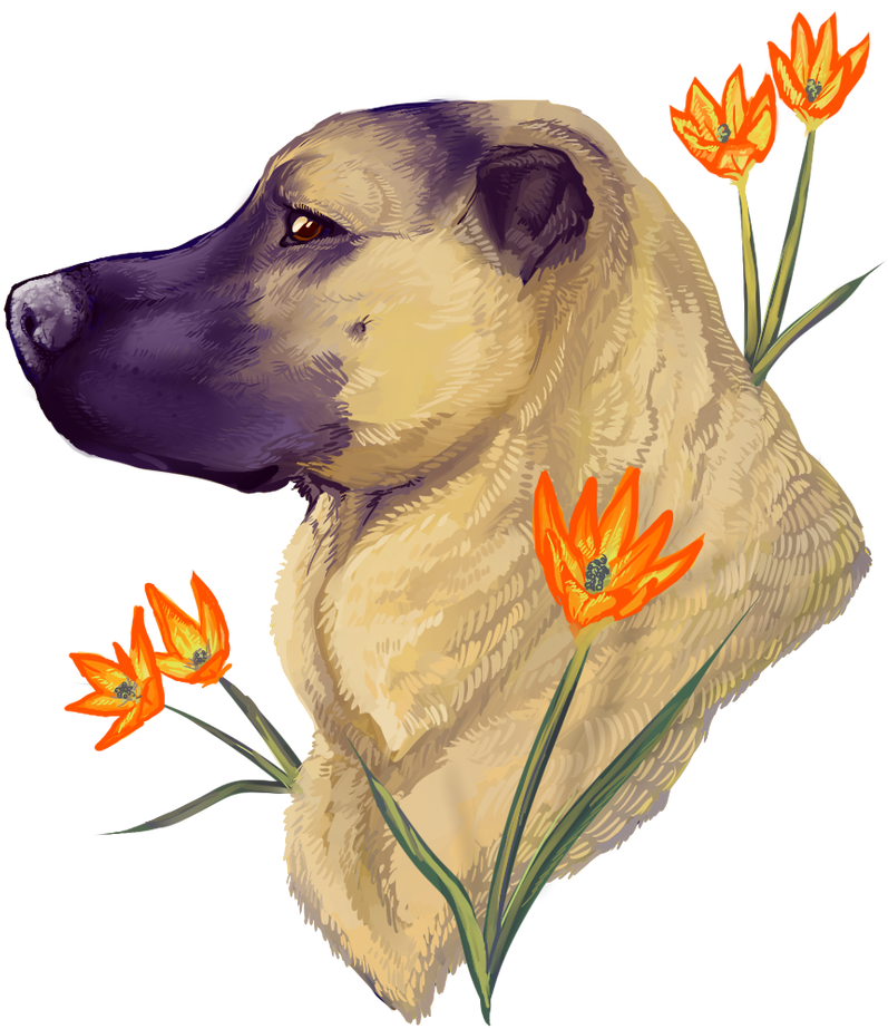 I'm Not Listening When You Say Goodbye By Engross - I'm Not Listening When You Say Goodbye By Engross (851x939)