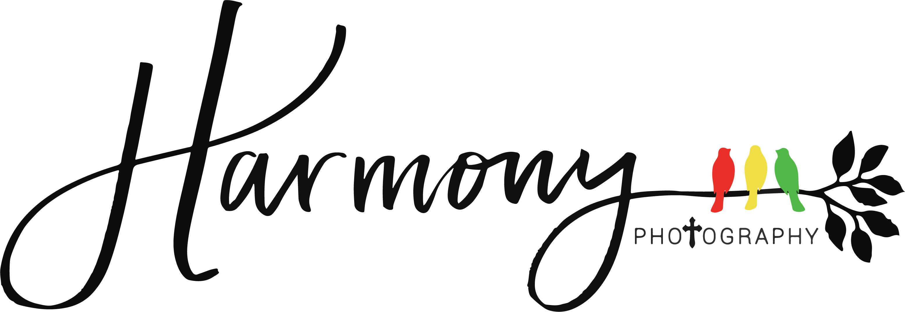 Harmony Hartig - Harmony Hartig (3110x1073)