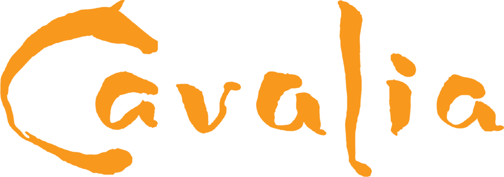 Girls Out Cavalia Mindfulness - Girls Out Cavalia Mindfulness (1000x351)