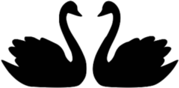 Black Swan Clipart Katayam - Black Swan Clipart Katayam (640x480)